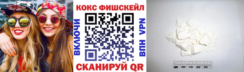 Купить закладки  Белокуриха  COCAIN Fish Scale 