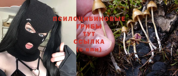 мяу мяу кристалл Дмитров