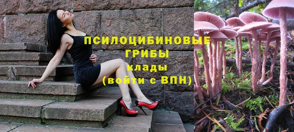 кокаин колумбия Дмитриев