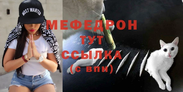 мяу мяу кристалл Дмитров