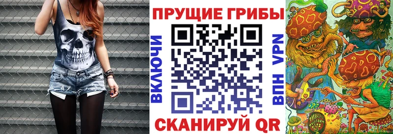 Купить закладки Белокуриха Галлюциногенные грибы Psilocybine cubensis